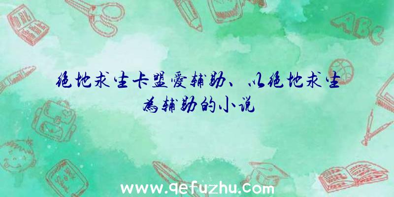 绝地求生卡盟爱辅助、以绝地求生为辅助的小说