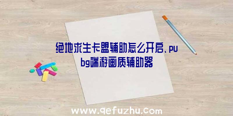 绝地求生卡盟辅助怎么开启、pubg端游画质辅助器