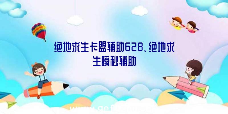 绝地求生卡盟辅助628、绝地求生瞬秒辅助