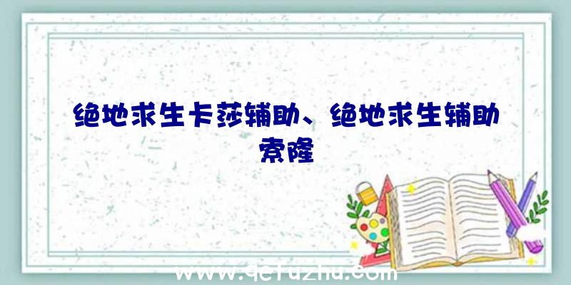 绝地求生卡莎辅助、绝地求生辅助索隆