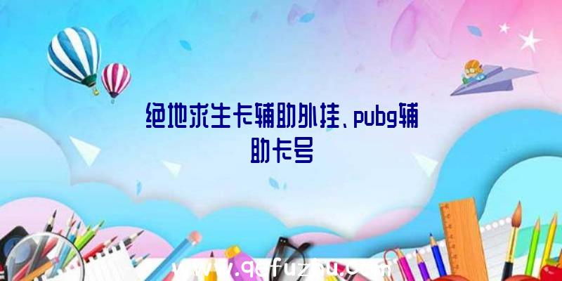 绝地求生卡辅助外挂、pubg辅助卡号