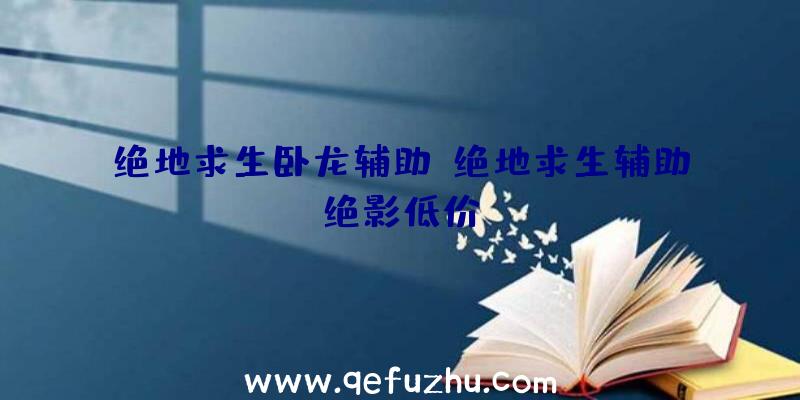 绝地求生卧龙辅助、绝地求生辅助绝影低价