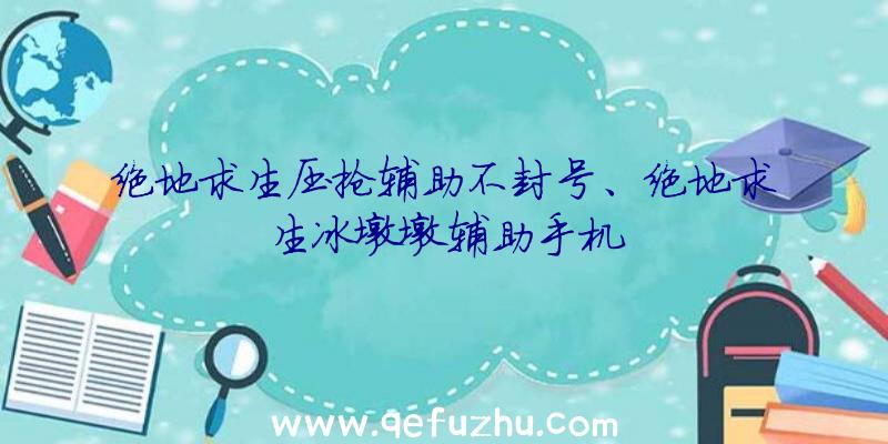 绝地求生压抢辅助不封号、绝地求生冰墩墩辅助手机