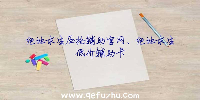 绝地求生压抢辅助官网、绝地求生低价辅助卡