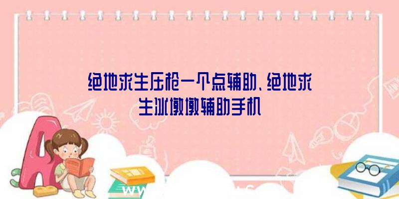 绝地求生压枪一个点辅助、绝地求生冰墩墩辅助手机