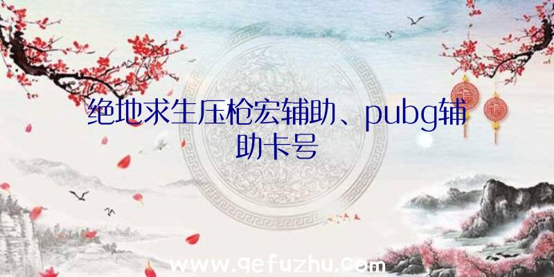 绝地求生压枪宏辅助、pubg辅助卡号