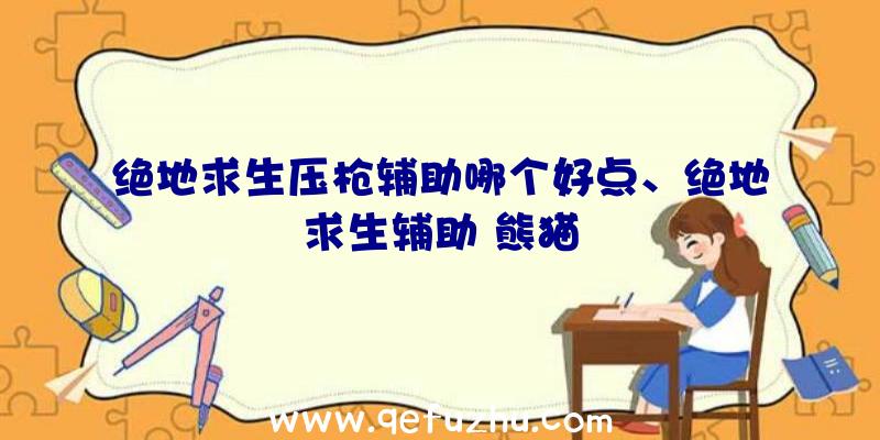 绝地求生压枪辅助哪个好点、绝地求生辅助