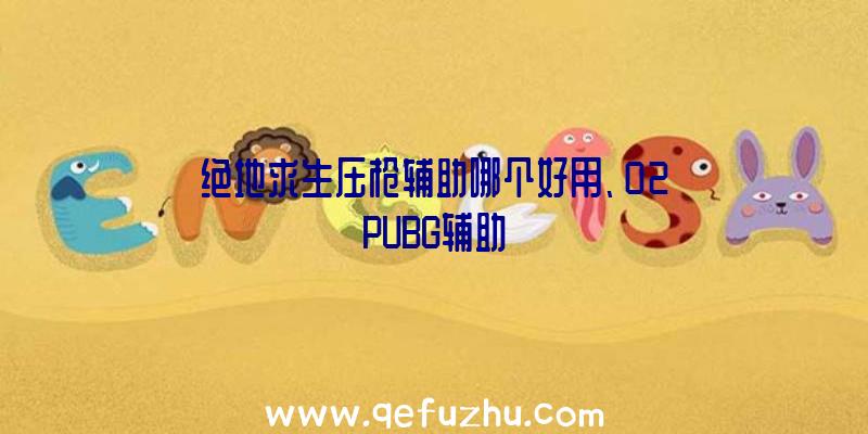 绝地求生压枪辅助哪个好用、02PUBG辅助