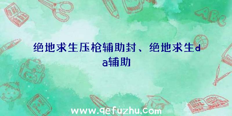 绝地求生压枪辅助封、绝地求生da辅助