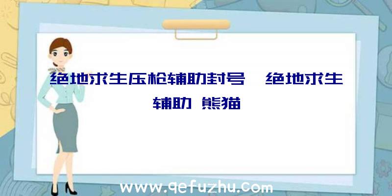 绝地求生压枪辅助封号、绝地求生辅助