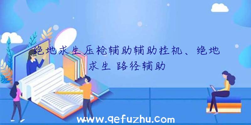 绝地求生压枪辅助辅助挂机、绝地求生