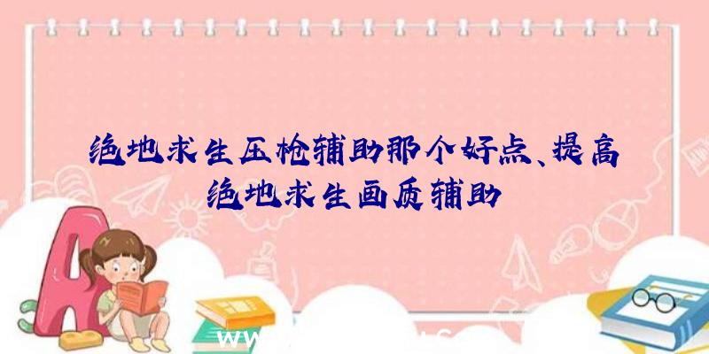 绝地求生压枪辅助那个好点、提高绝地求生画质辅助