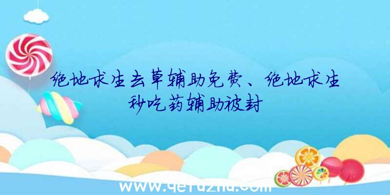 绝地求生去草辅助免费、绝地求生秒吃药辅助被封