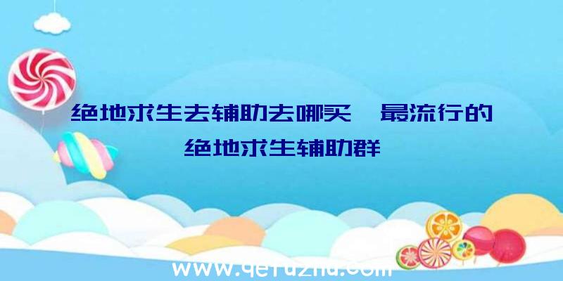 绝地求生去辅助去哪买、最流行的绝地求生辅助群