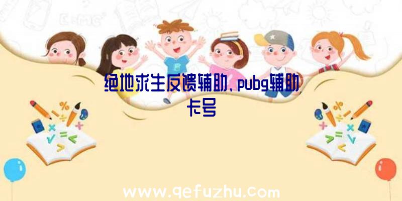 绝地求生反馈辅助、pubg辅助卡号