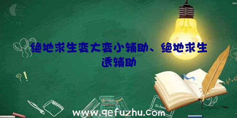 绝地求生变大变小辅助、绝地求生透辅助