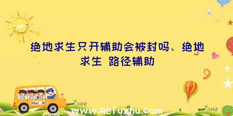 绝地求生只开辅助会被封吗、绝地求生