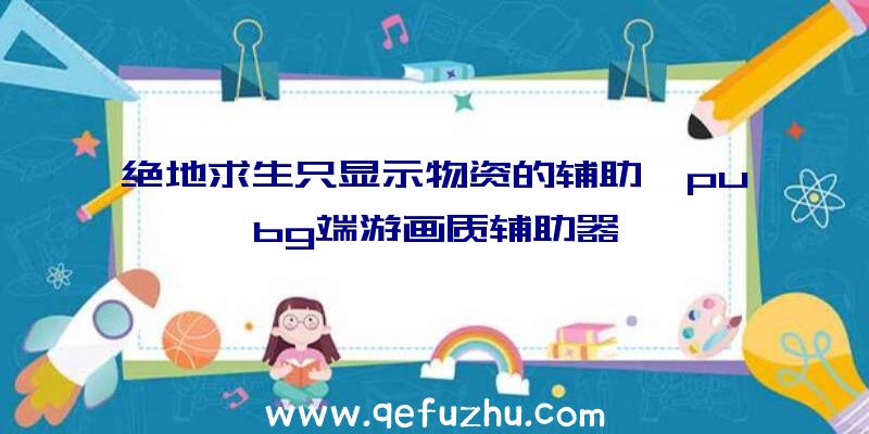 绝地求生只显示物资的辅助、pubg端游画质辅助器