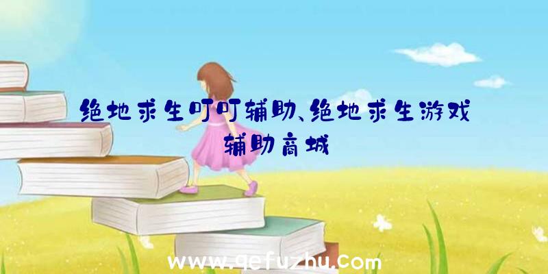 绝地求生叮叮辅助、绝地求生游戏辅助商城