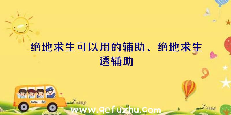 绝地求生可以用的辅助、绝地求生透辅助