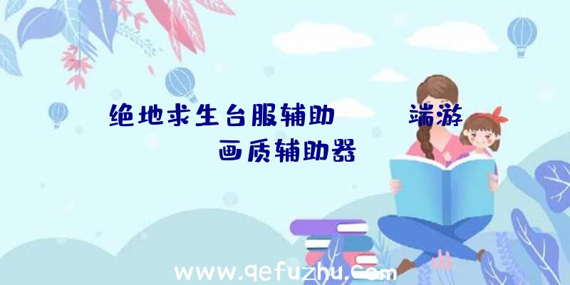 绝地求生台服辅助、pubg端游画质辅助器