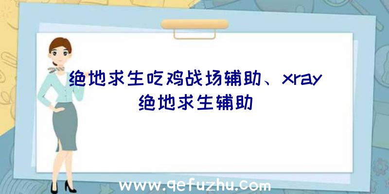 绝地求生吃鸡战场辅助、xray绝地求生辅助