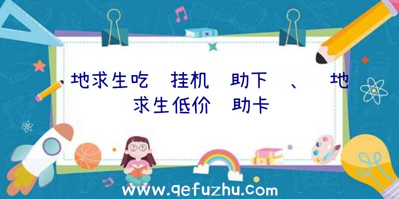 绝地求生吃鸡挂机辅助下载、绝地求生低价辅助卡