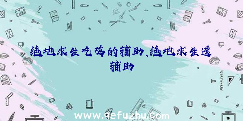 绝地求生吃鸡的辅助、绝地求生透辅助