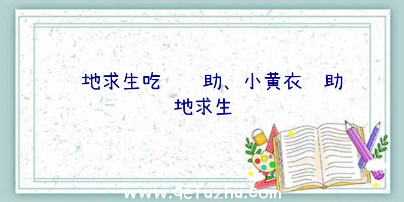 绝地求生吃鸡辅助、小黄衣辅助绝地求生