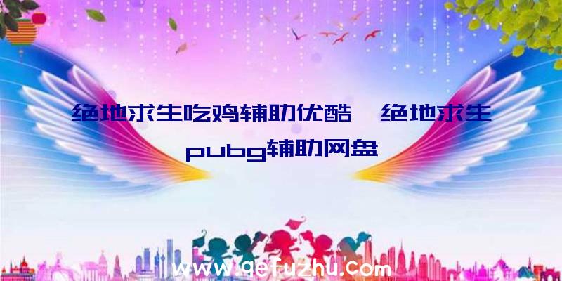 绝地求生吃鸡辅助优酷、绝地求生pubg辅助网盘