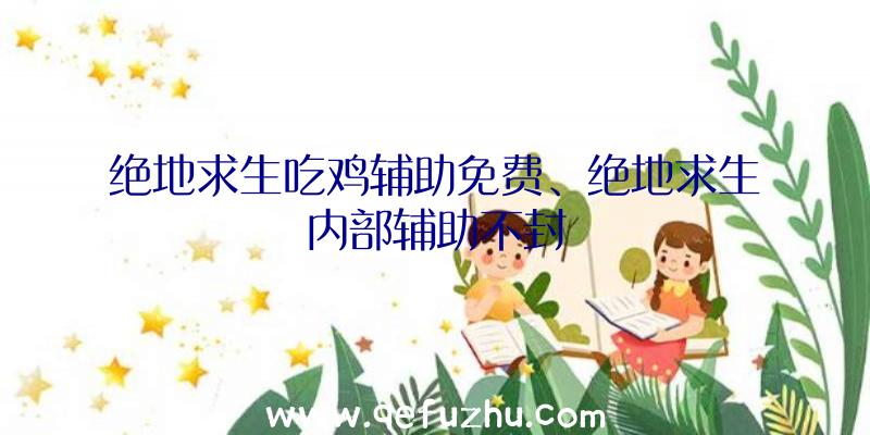 绝地求生吃鸡辅助免费、绝地求生内部辅助不封