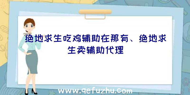 绝地求生吃鸡辅助在那有、绝地求生卖辅助代理