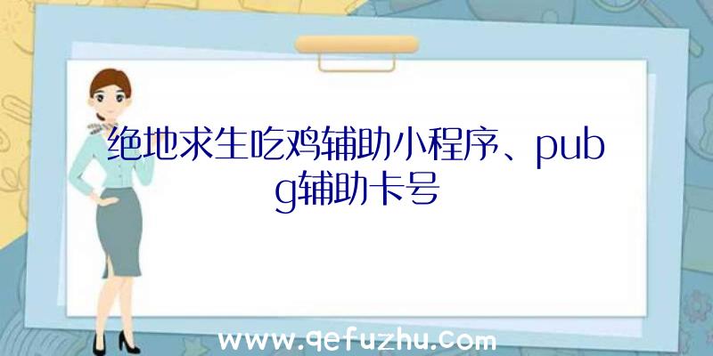 绝地求生吃鸡辅助小程序、pubg辅助卡号