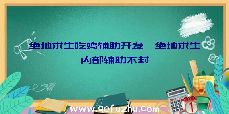 绝地求生吃鸡辅助开发、绝地求生内部辅助不封