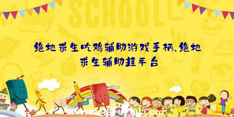 绝地求生吃鸡辅助游戏手柄、绝地求生辅助挂平台