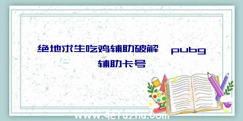 绝地求生吃鸡辅助破解、pubg辅助卡号