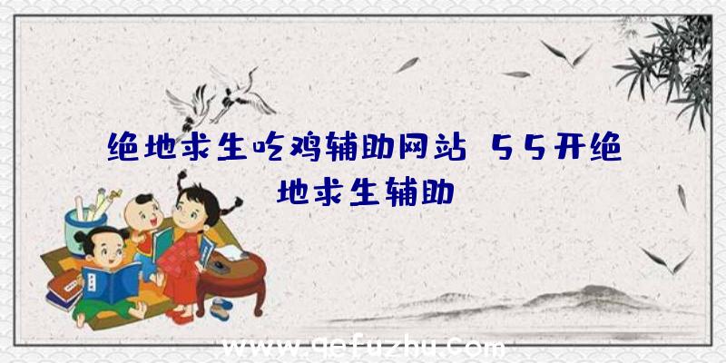 绝地求生吃鸡辅助网站、55开绝地求生辅助