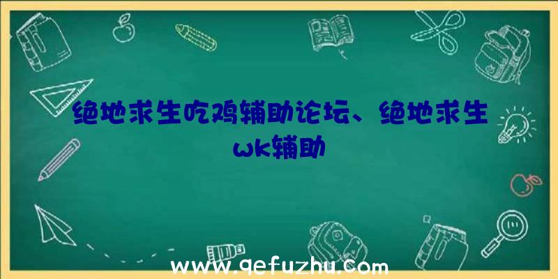 绝地求生吃鸡辅助论坛、绝地求生wk辅助