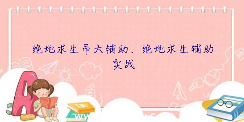 绝地求生吊大辅助、绝地求生辅助实战