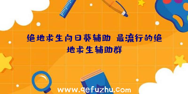 绝地求生向日葵辅助、最流行的绝地求生辅助群