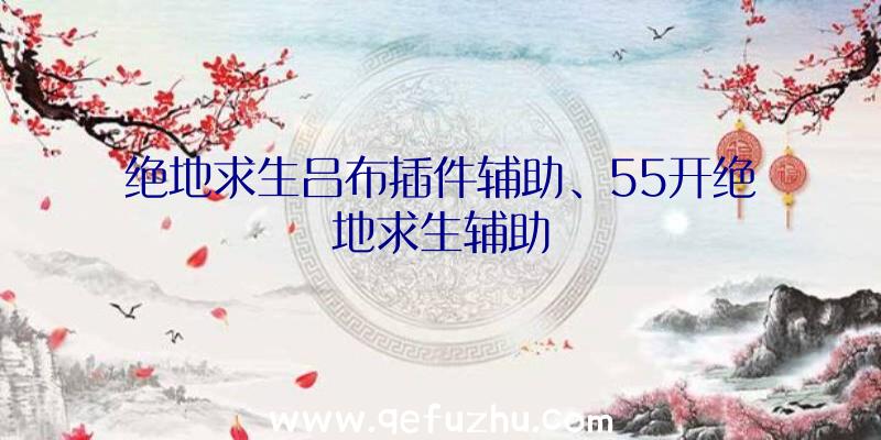 绝地求生吕布插件辅助、55开绝地求生辅助