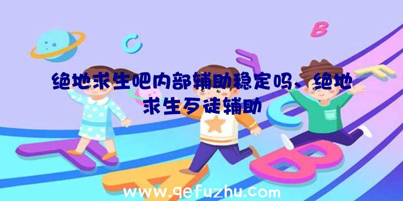 绝地求生吧内部辅助稳定吗、绝地求生歹徒辅助