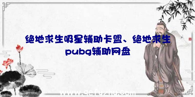 绝地求生吸星辅助卡盟、绝地求生pubg辅助网盘