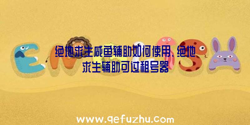 绝地求生咸鱼辅助如何使用、绝地求生辅助可过租号器