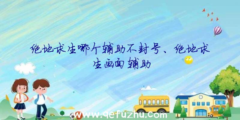 绝地求生哪个辅助不封号、绝地求生画面辅助