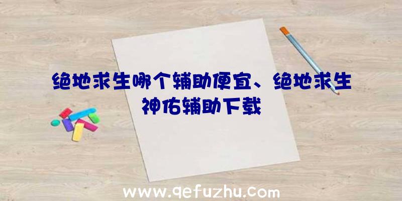 绝地求生哪个辅助便宜、绝地求生神佑辅助下载