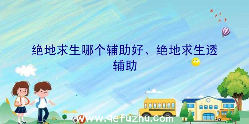 绝地求生哪个辅助好、绝地求生透辅助