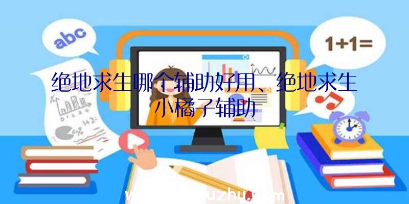 绝地求生哪个辅助好用、绝地求生小橘子辅助