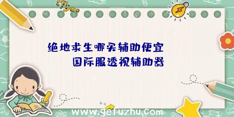 绝地求生哪买辅助便宜、pubg国际服透视辅助器