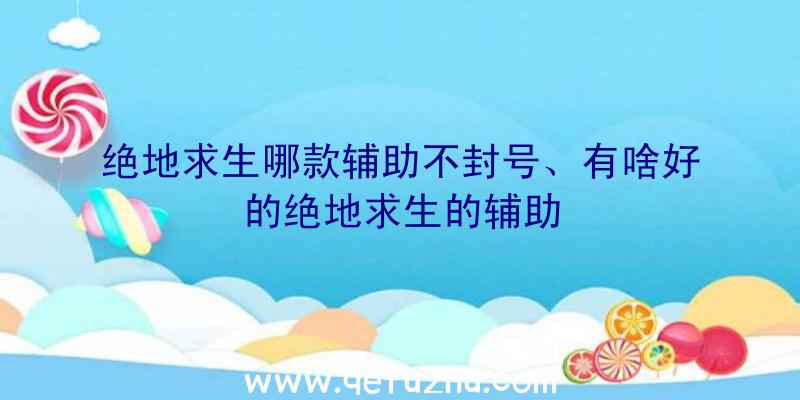 绝地求生哪款辅助不封号、有啥好的绝地求生的辅助